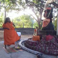 20051215_Photo_1071_100_1353_CMP_WM