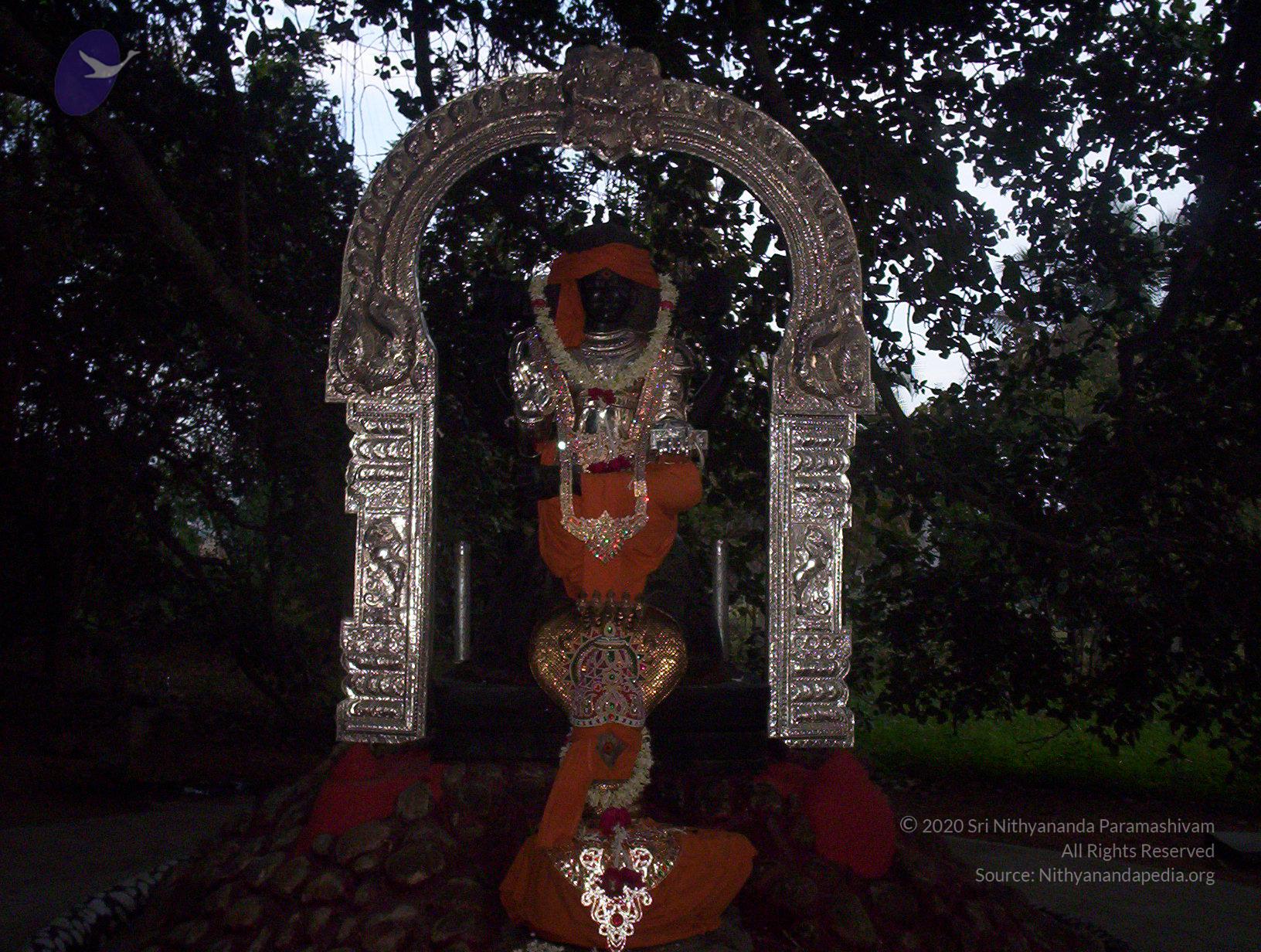 20051215_Photo_1074_100_1382_CMP_WM