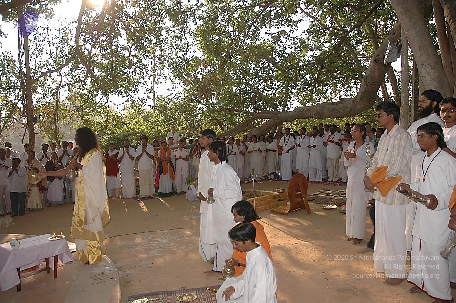 20050124_Photo_1005_Dsc_0085_CMP_WM