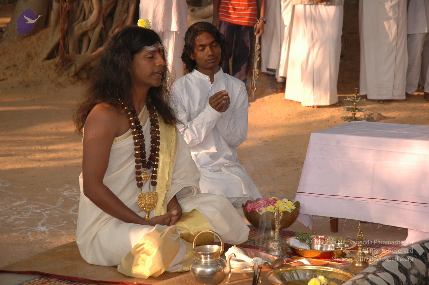 20050124_Photo_1011_Dsc_0063_CMP_WM