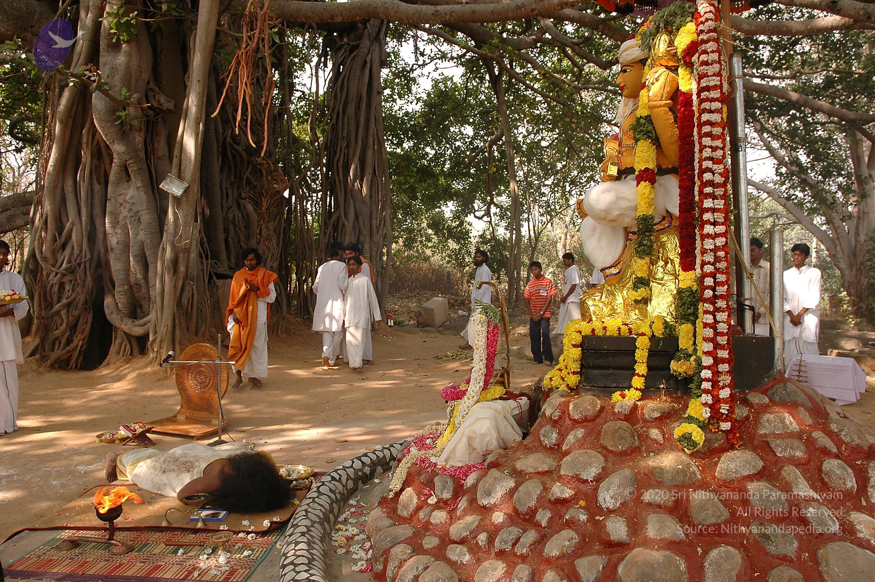 20050124_Photo_1019_Dsc_0185_CMP_WM