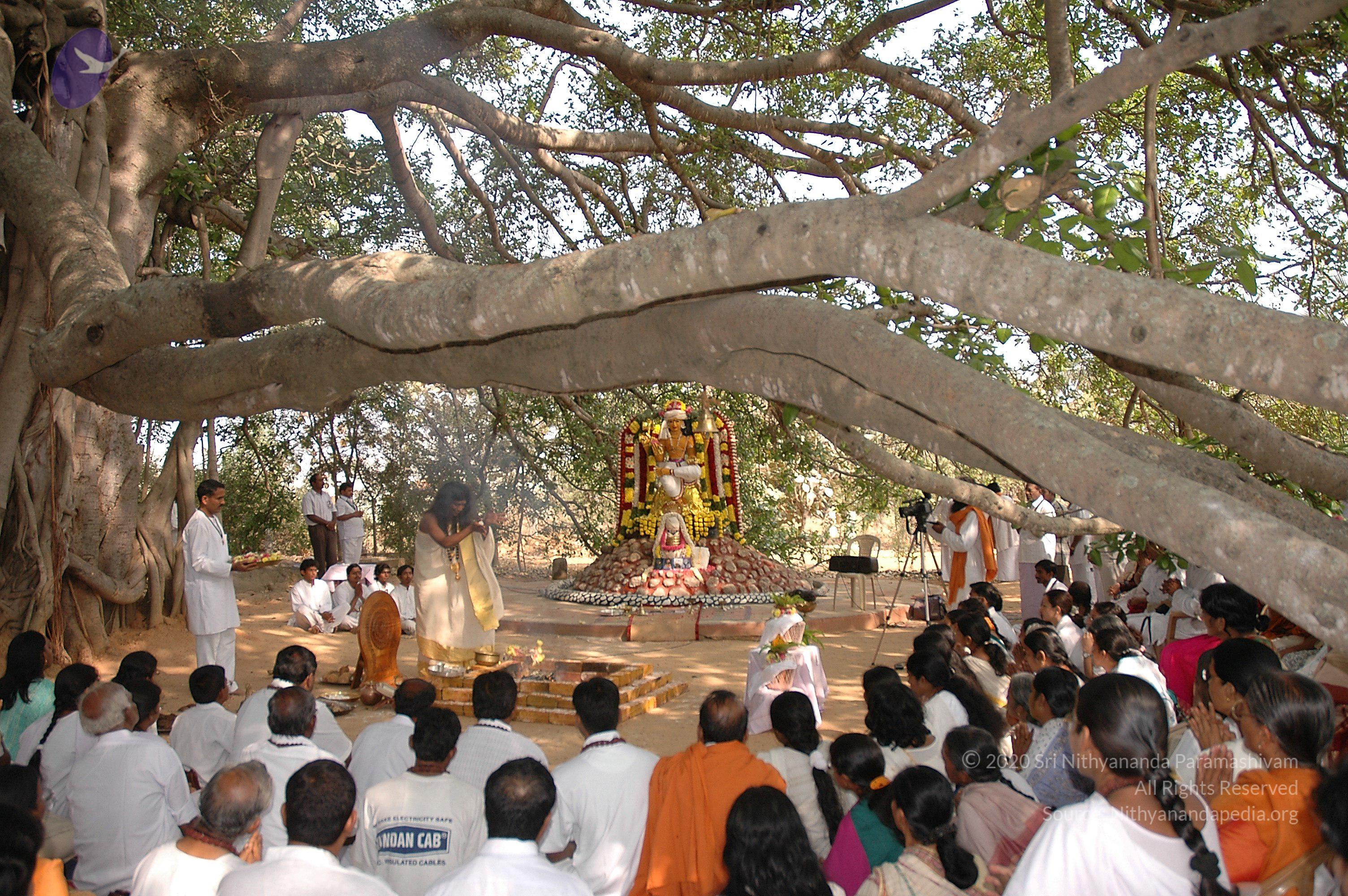 20050124_Photo_1023_Dsc_0170_CMP_WM