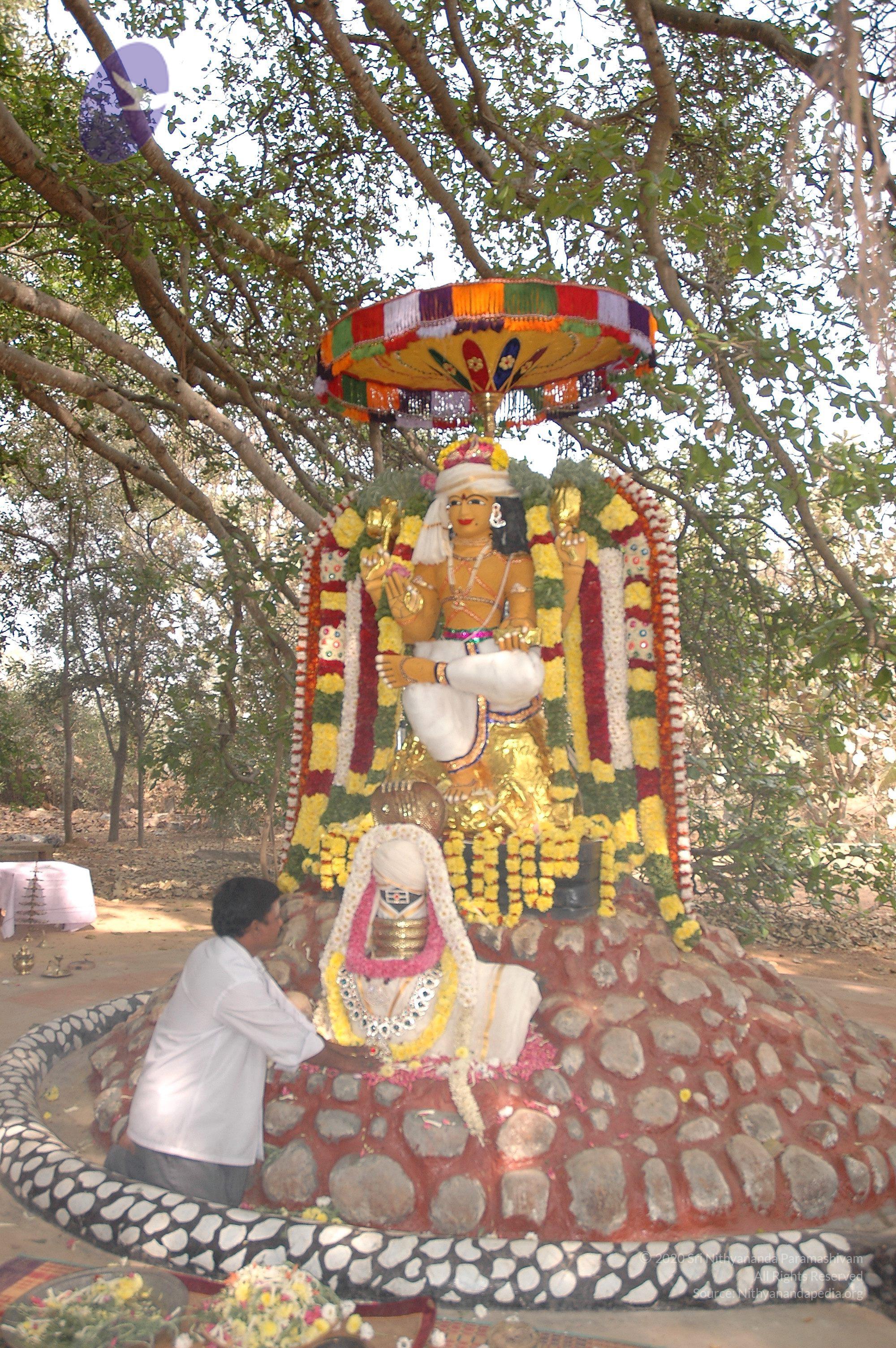 20050124_Photo_1027_Dsc_0193_CMP_WM