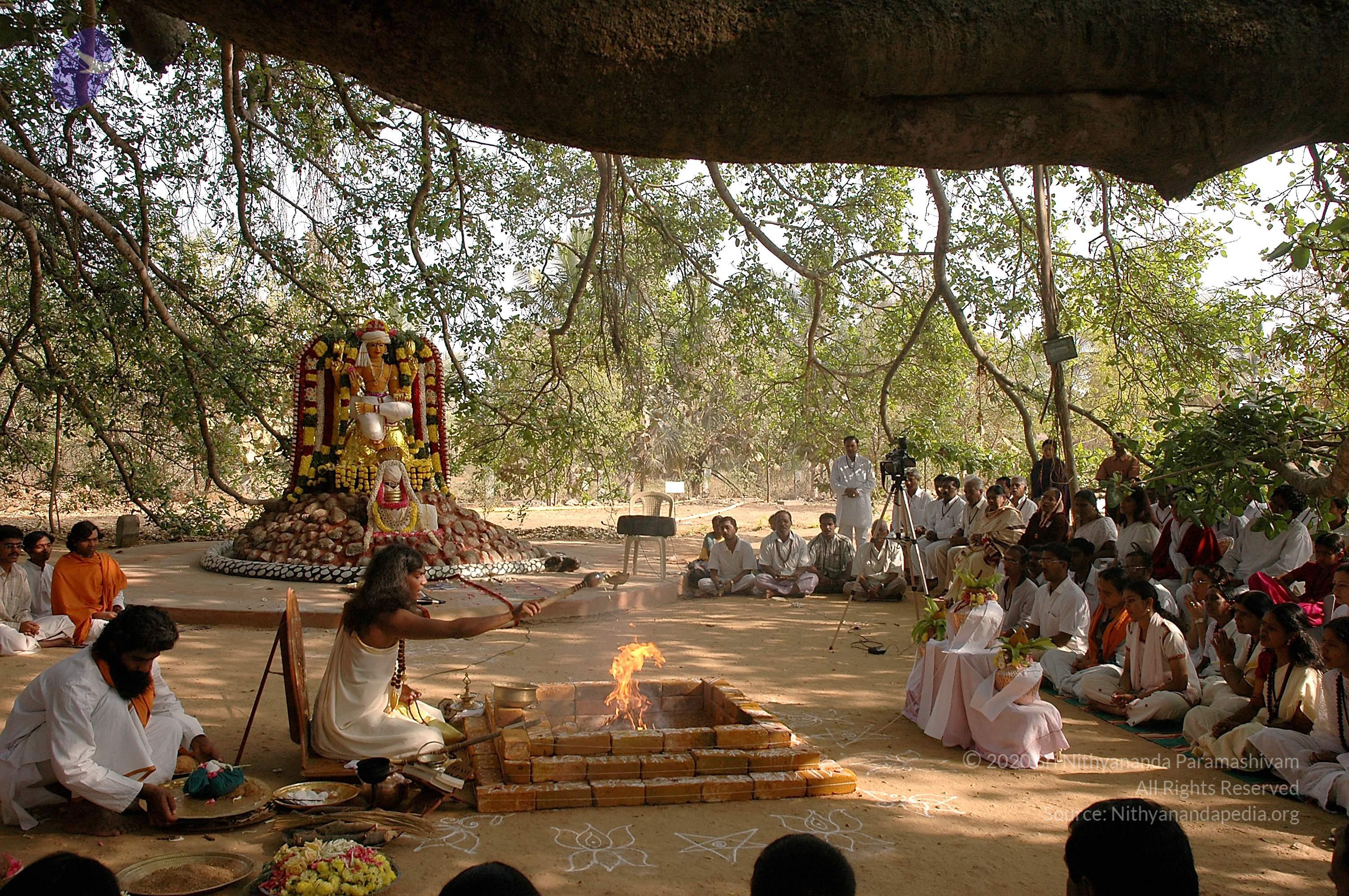 20050124_Photo_1030_Dsc_0142_CMP_WM