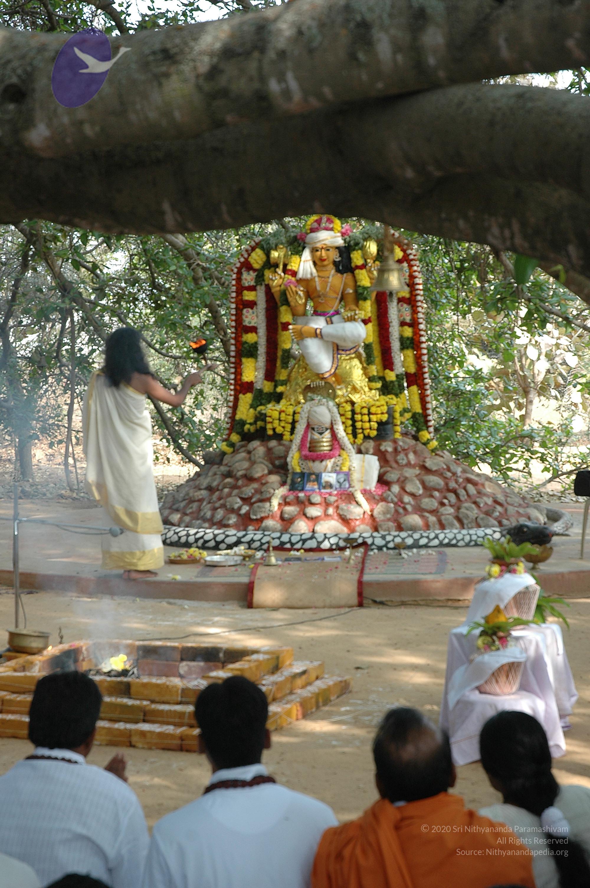 20050124_Photo_1031_Dsc_0175_CMP_WM