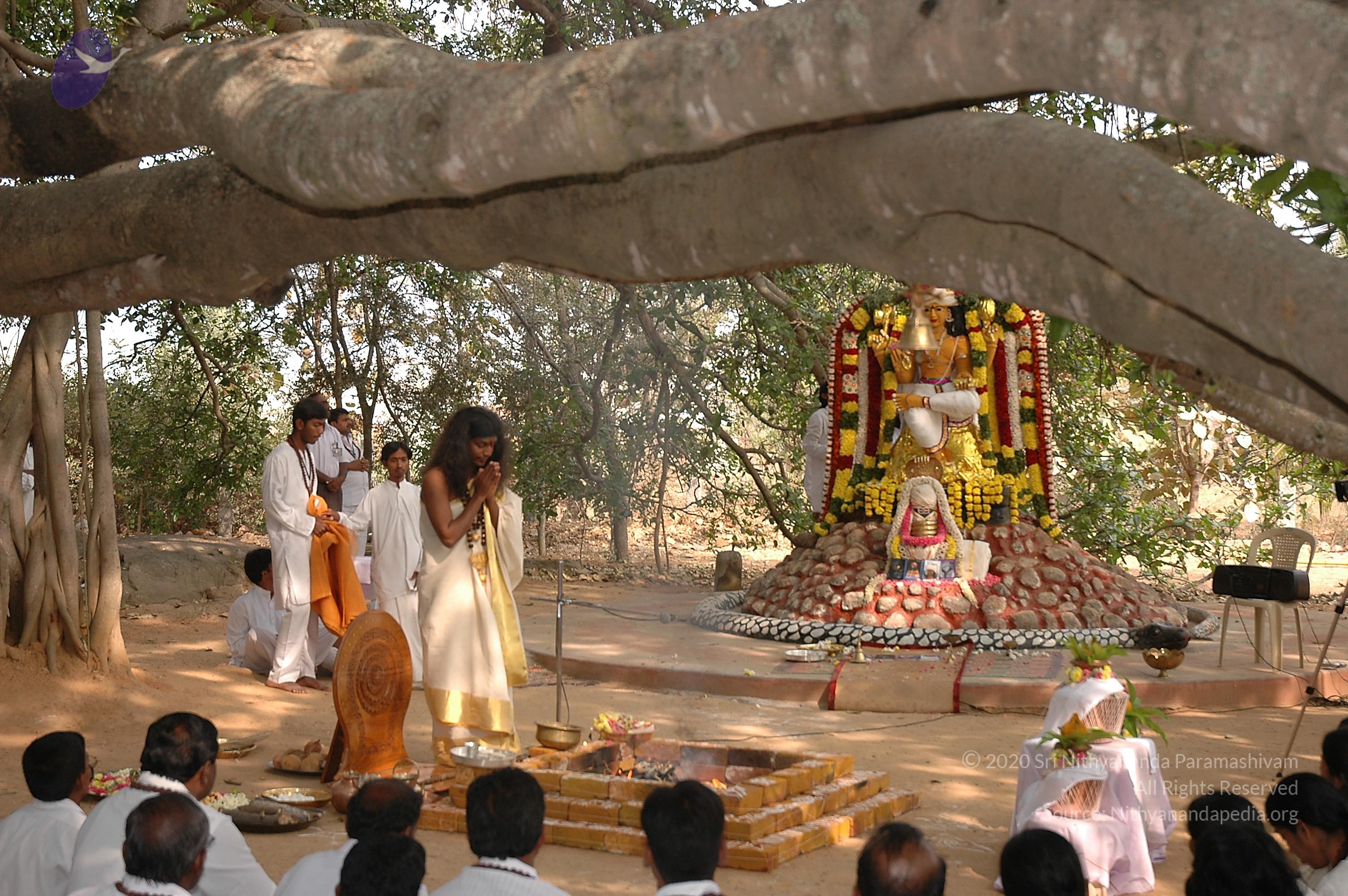 20050124_Photo_1033_Dsc_0169_CMP_WM