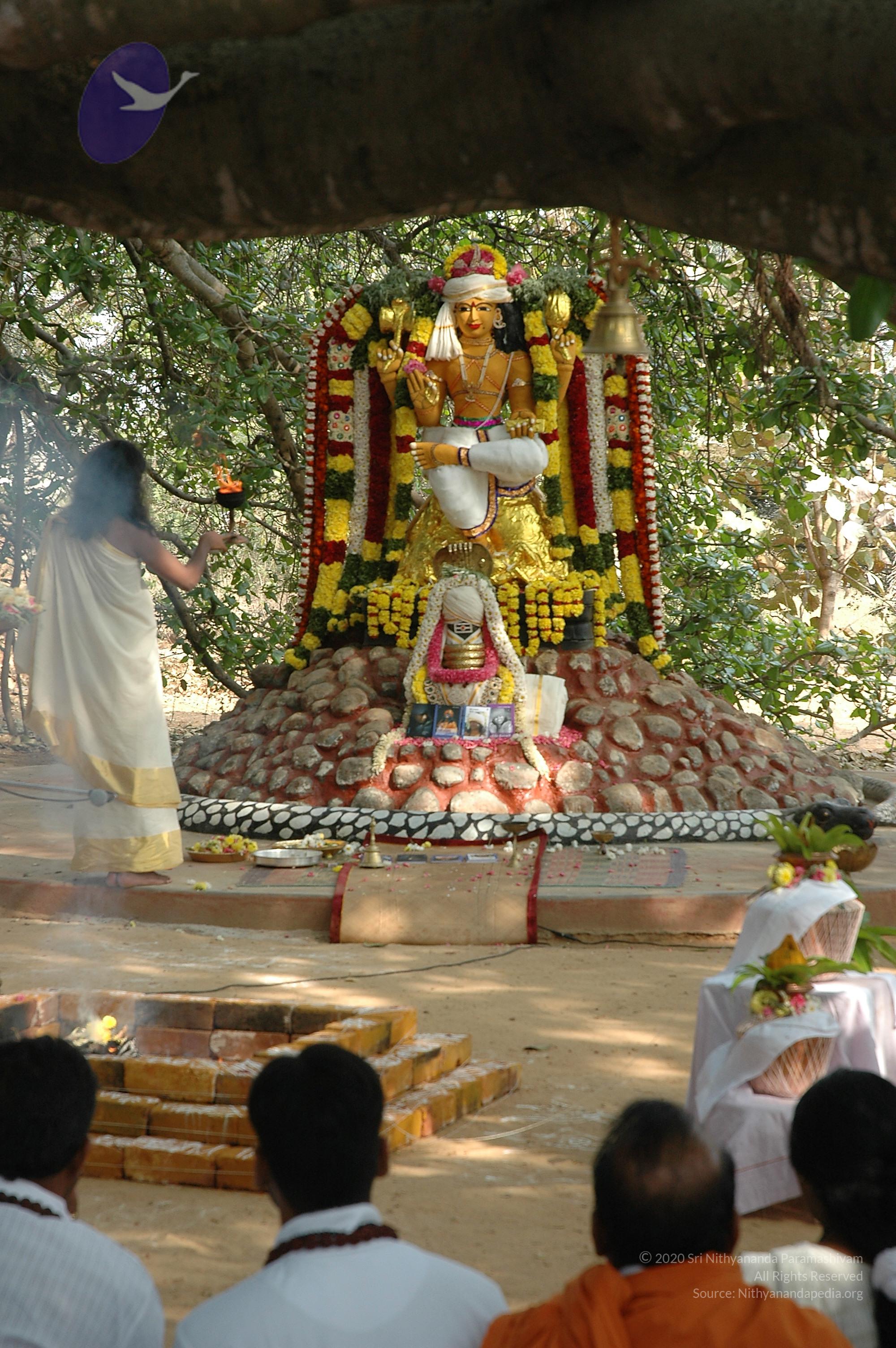 20050124_Photo_1041_Dsc_0176_CMP_WM