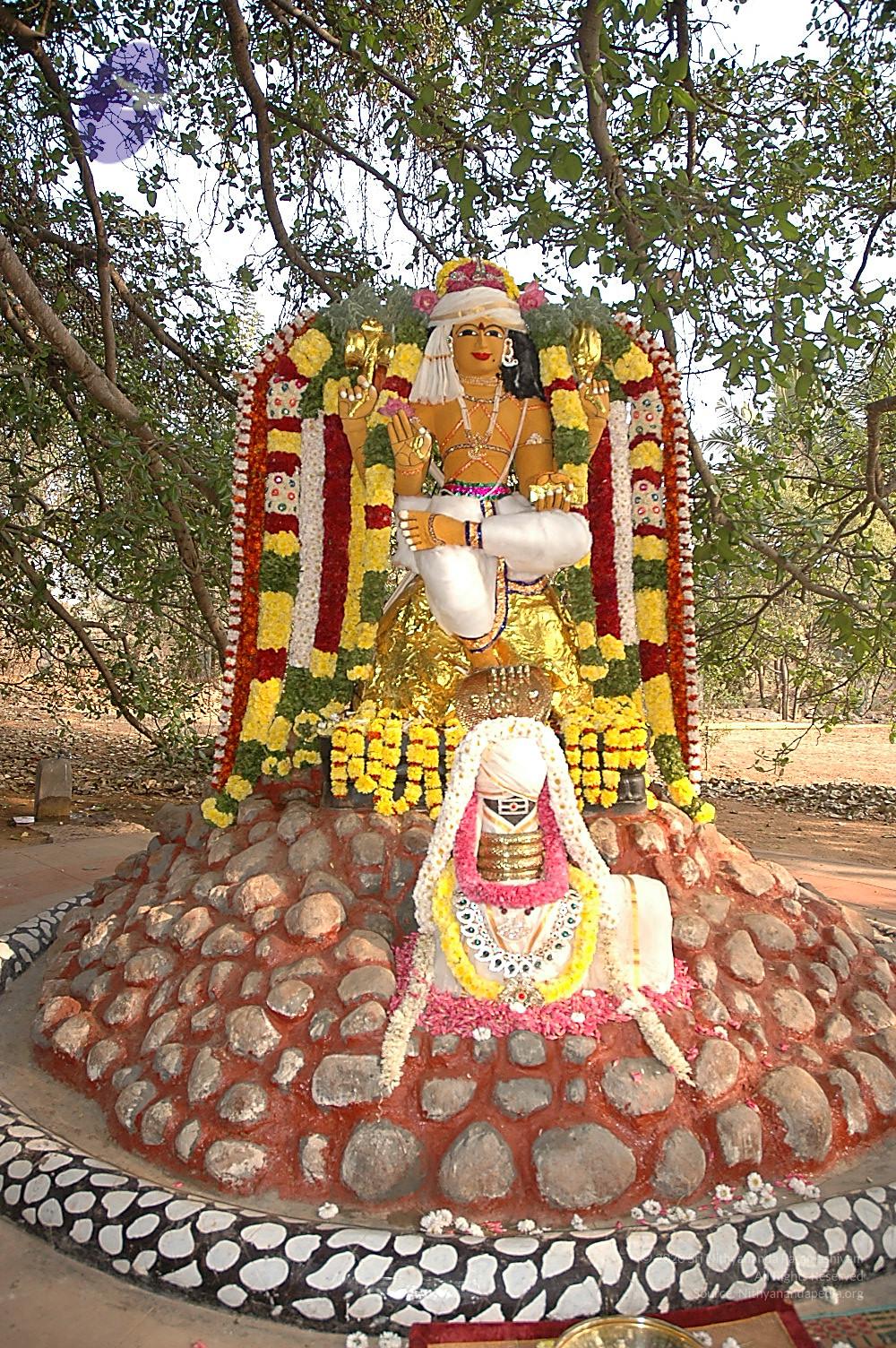 20050124_Photo_1042_Dsc_0114_CMP_WM