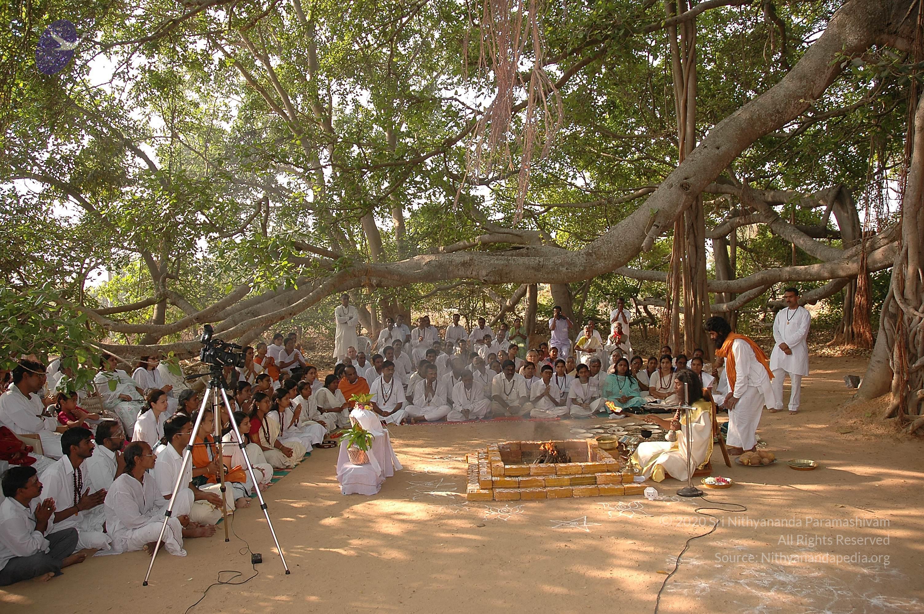 20050124_Photo_1043_Dsc_0123_CMP_WM