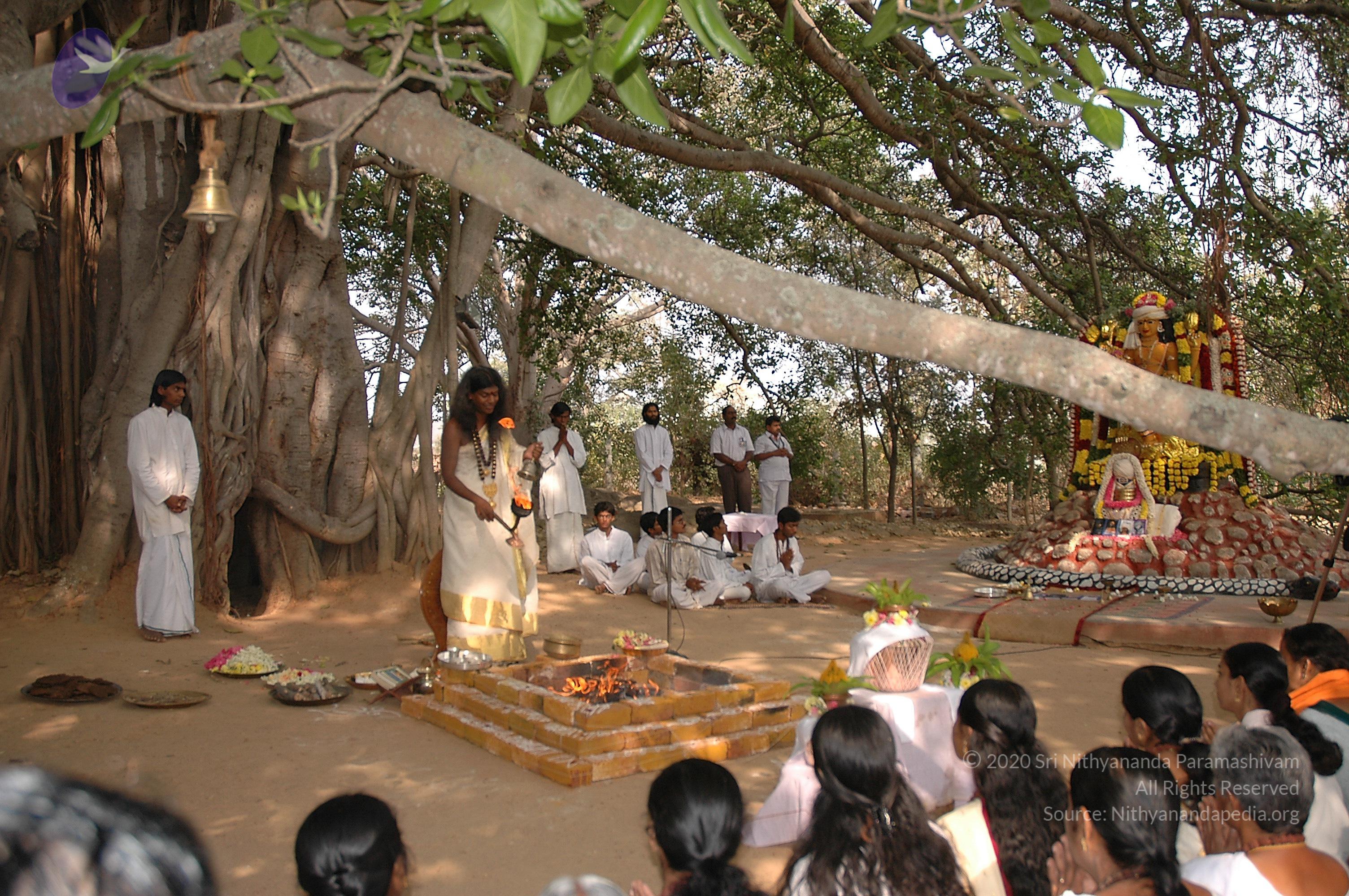 20050124_Photo_1046_Dsc_0167_CMP_WM