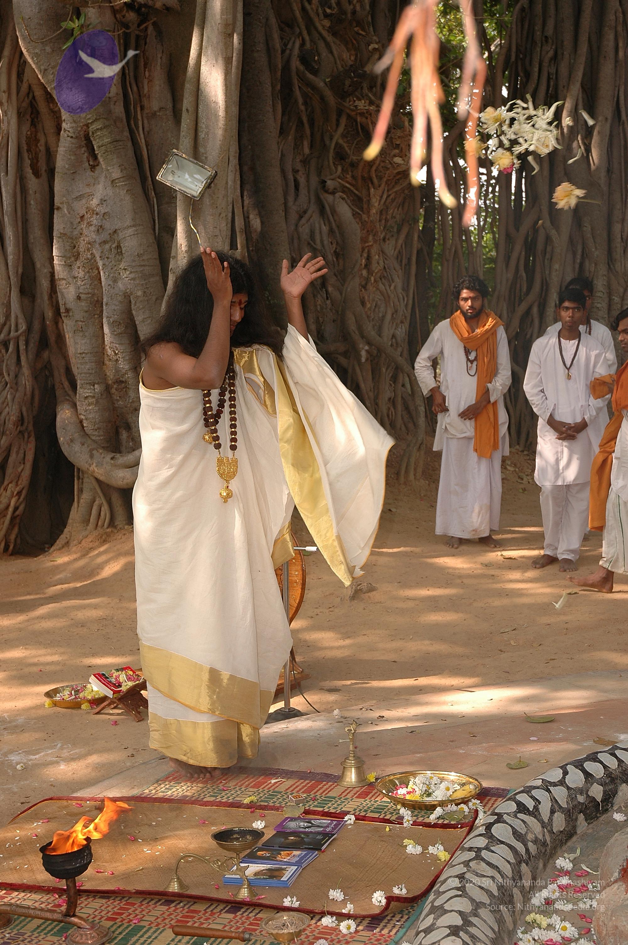 20050124_Photo_1047_Dsc_0184_CMP_WM