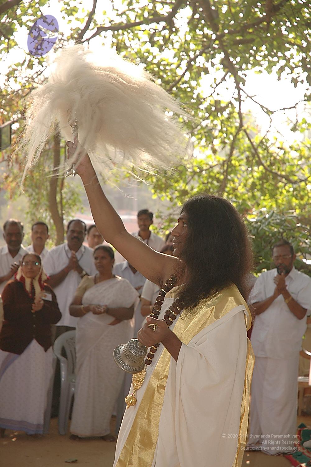 20050124_Photo_1048_Dsc_0100_CMP_WM