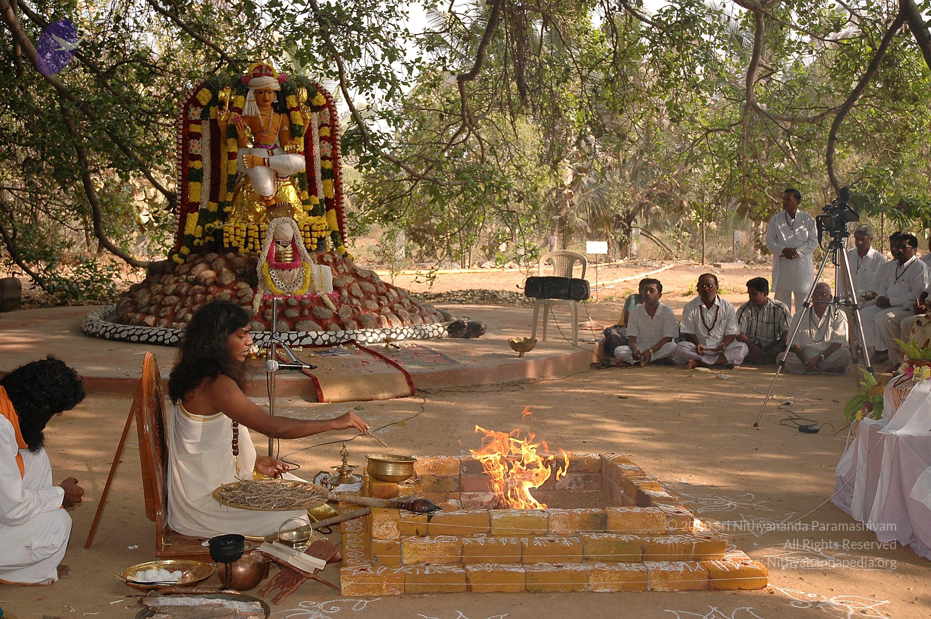 20050124_Photo_1053_Dsc_0144_CMP_WM