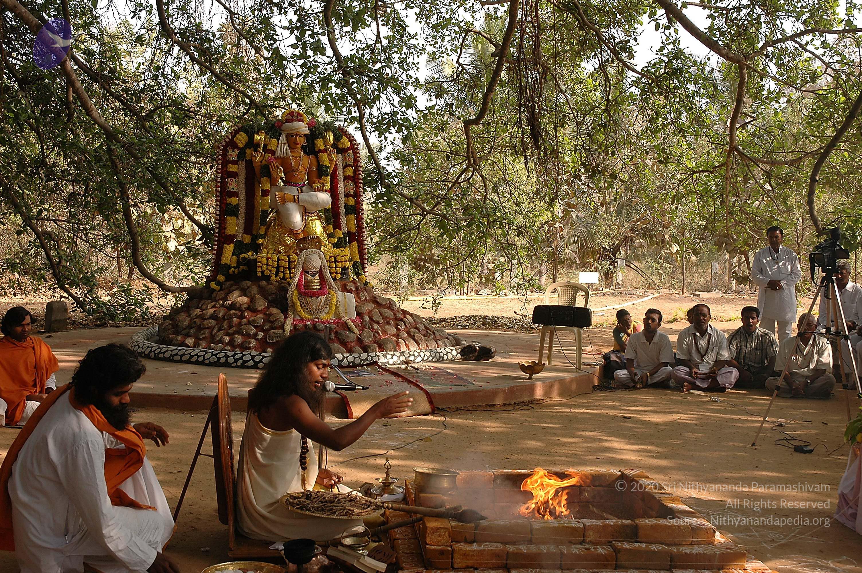 20050124_Photo_1056_Dsc_0143_CMP_WM