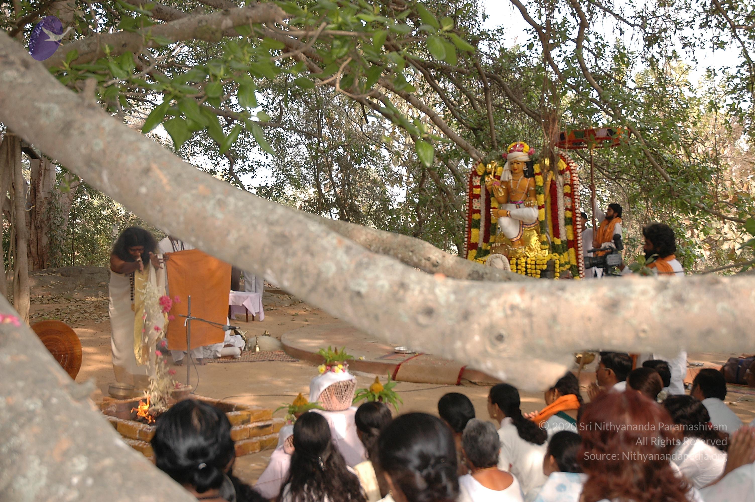 20050124_Photo_1058_Dsc_0168_CMP_WM