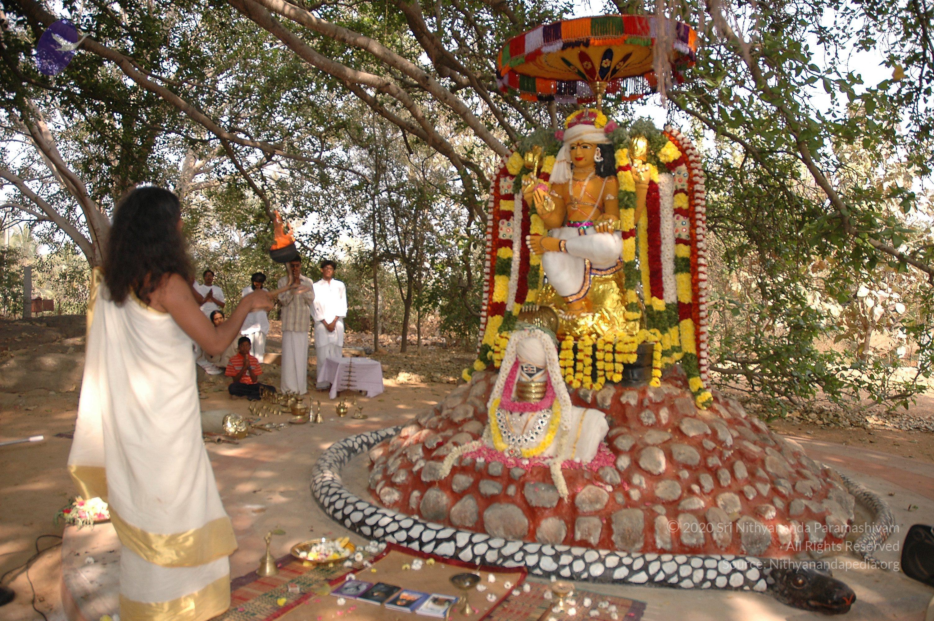 20050124_Photo_1061_Dsc_0183_CMP_WM