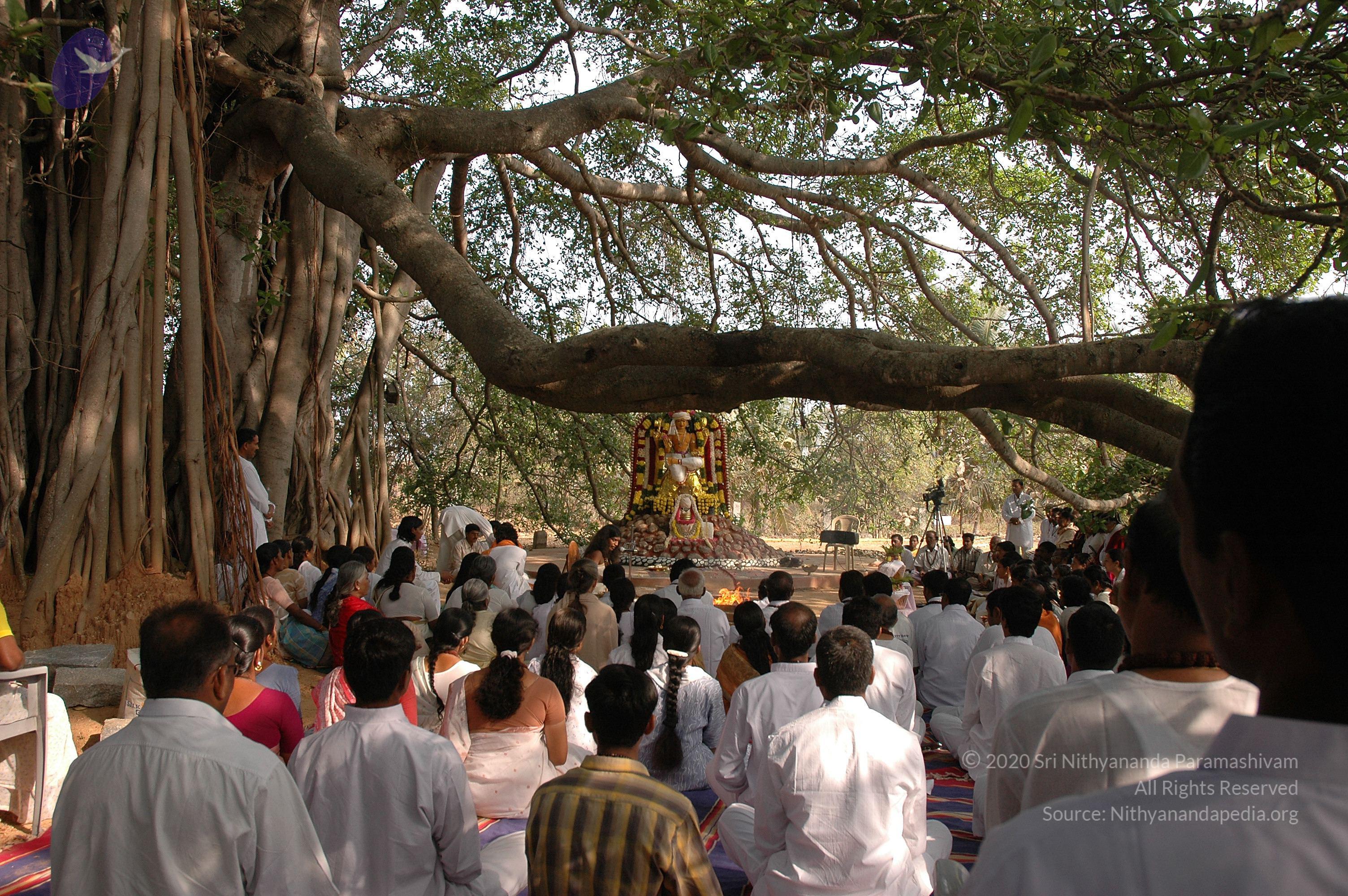 20050124_Photo_1062_Dsc_0146_CMP_WM