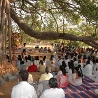 20050124_Photo_1015_Dsc_0122_CMP_WM