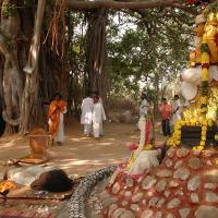 20050124_Photo_1019_Dsc_0185_CMP_WM