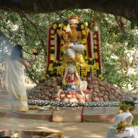 20050124_Photo_1041_Dsc_0176_CMP_WM