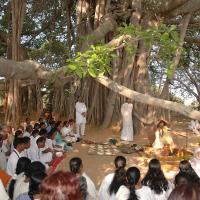 20050124_Photo_1055_Dsc_0126_CMP_WM