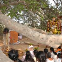 20050124_Photo_1058_Dsc_0168_CMP_WM