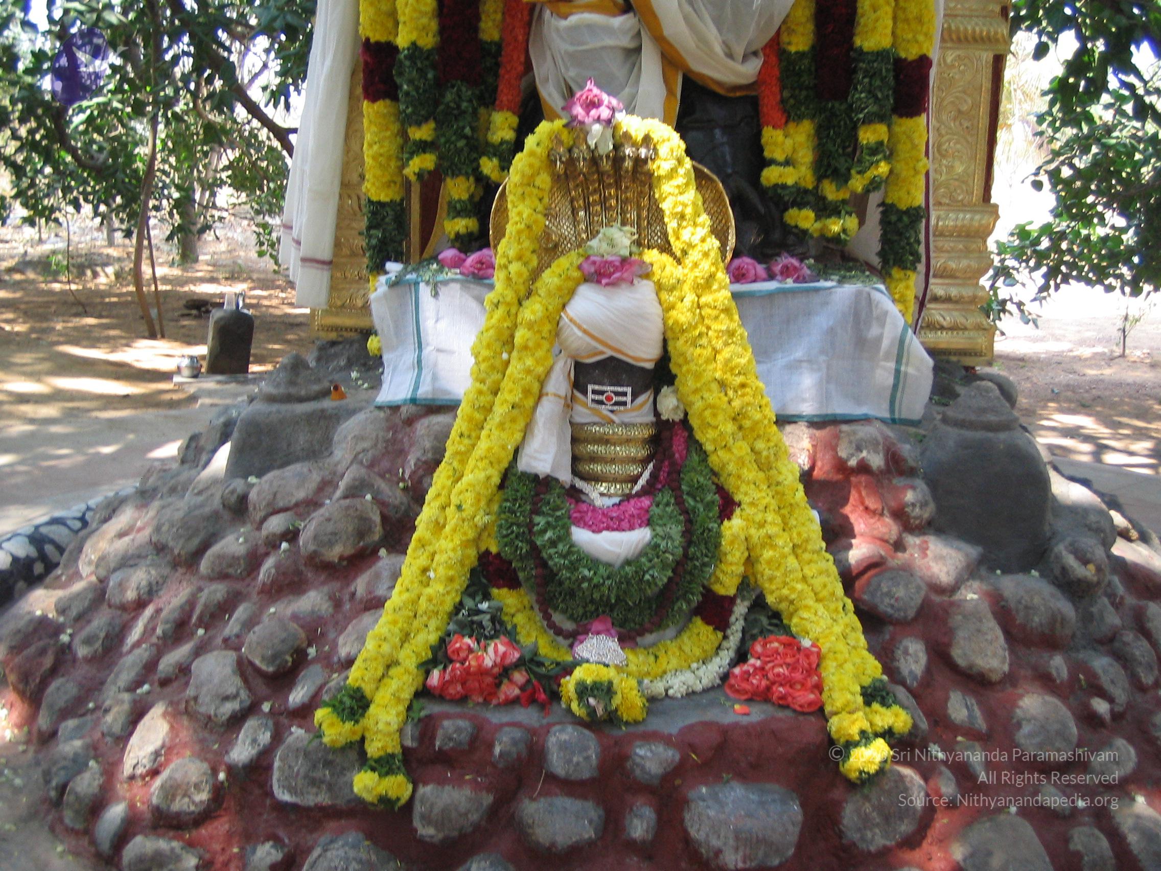 20050308_Photo_1000_ShivRathri_2005_ashram (139)_CMP_WM