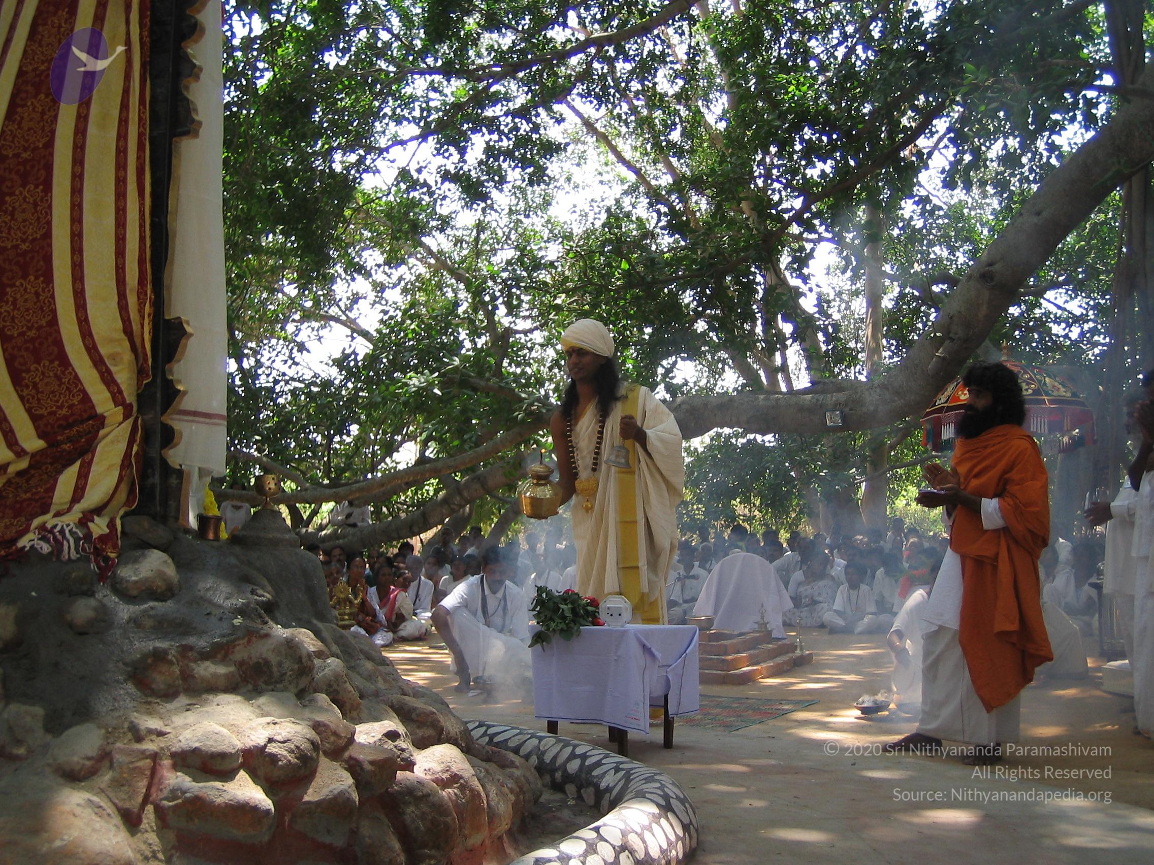 20050308_Photo_1024_ShivRathri_2005_ashram (73)_CMP_WM