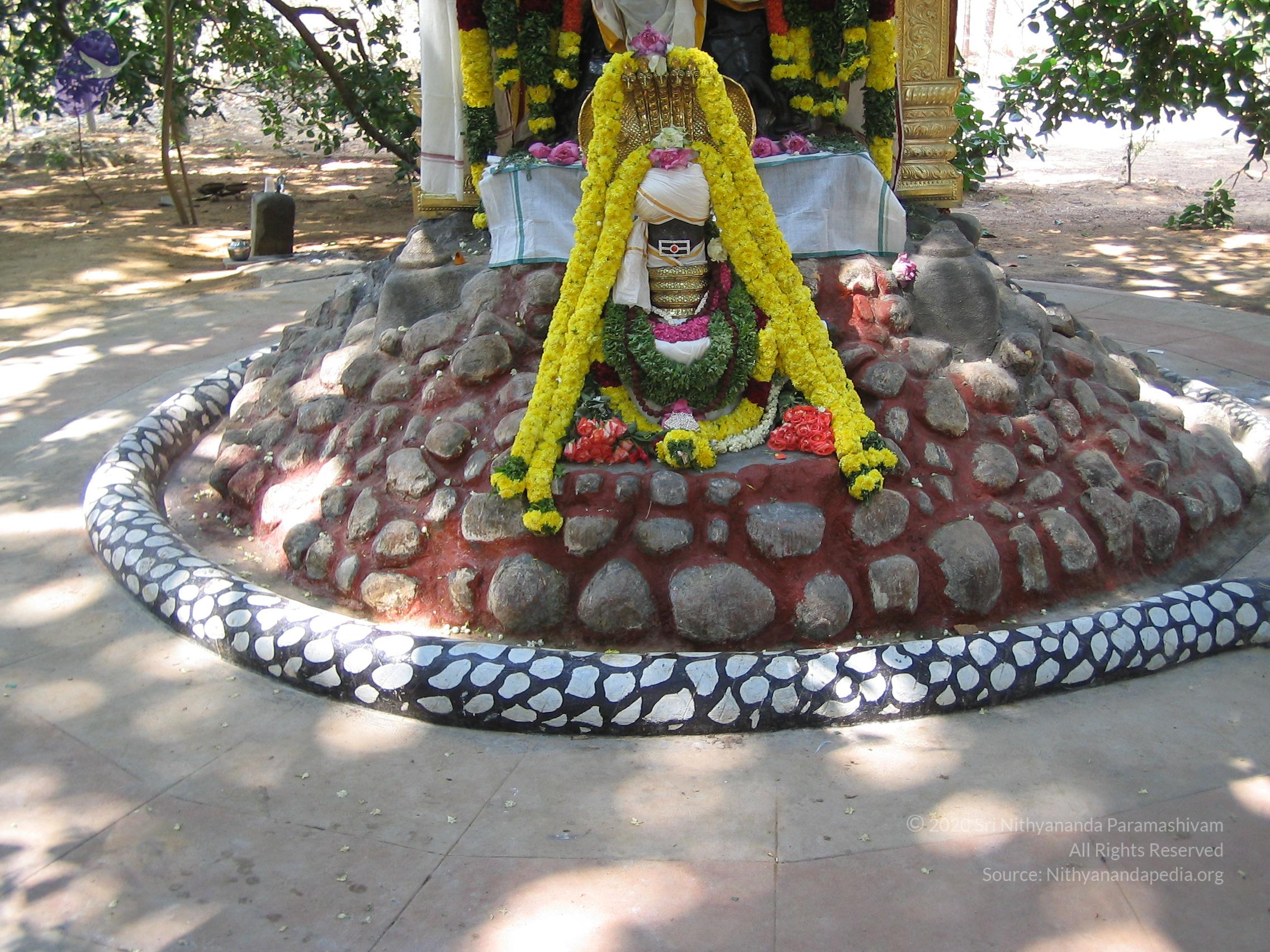 20050308_Photo_1055_ShivRathri_2005_ashram (142)_CMP_WM