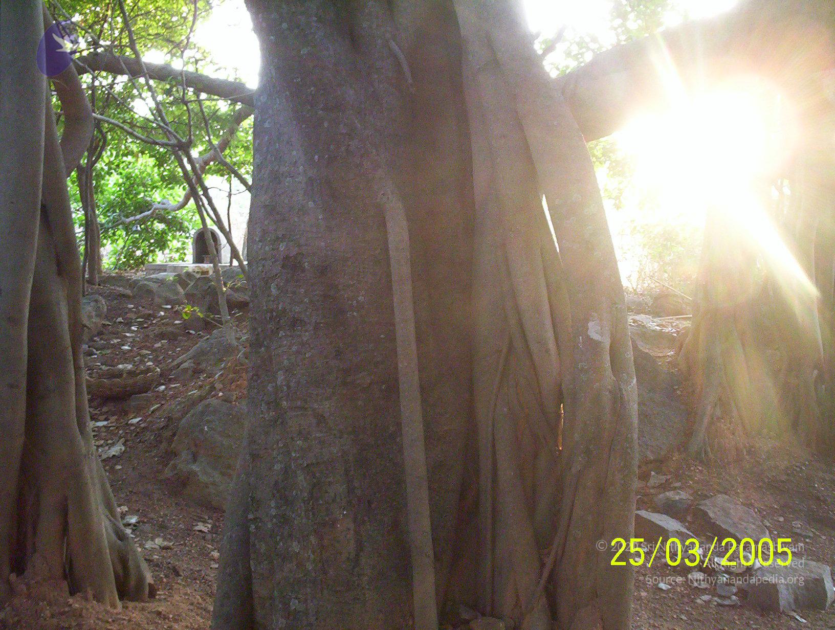 20050325_Photo_1003_100_1751_CMP_WM