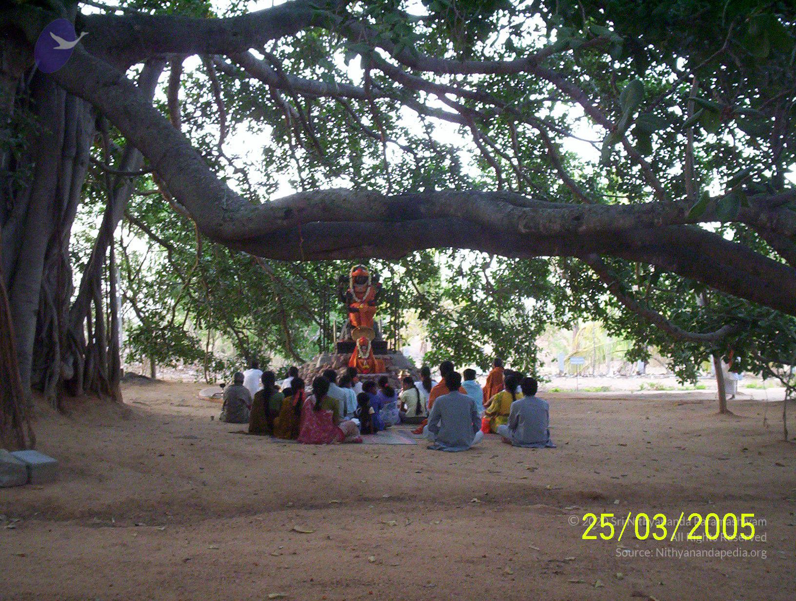 20050325_Photo_1006_100_1754_CMP_WM