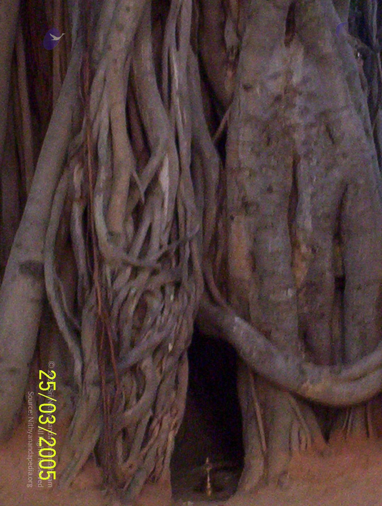 20050325_Photo_1008_100_1736_CMP_WM