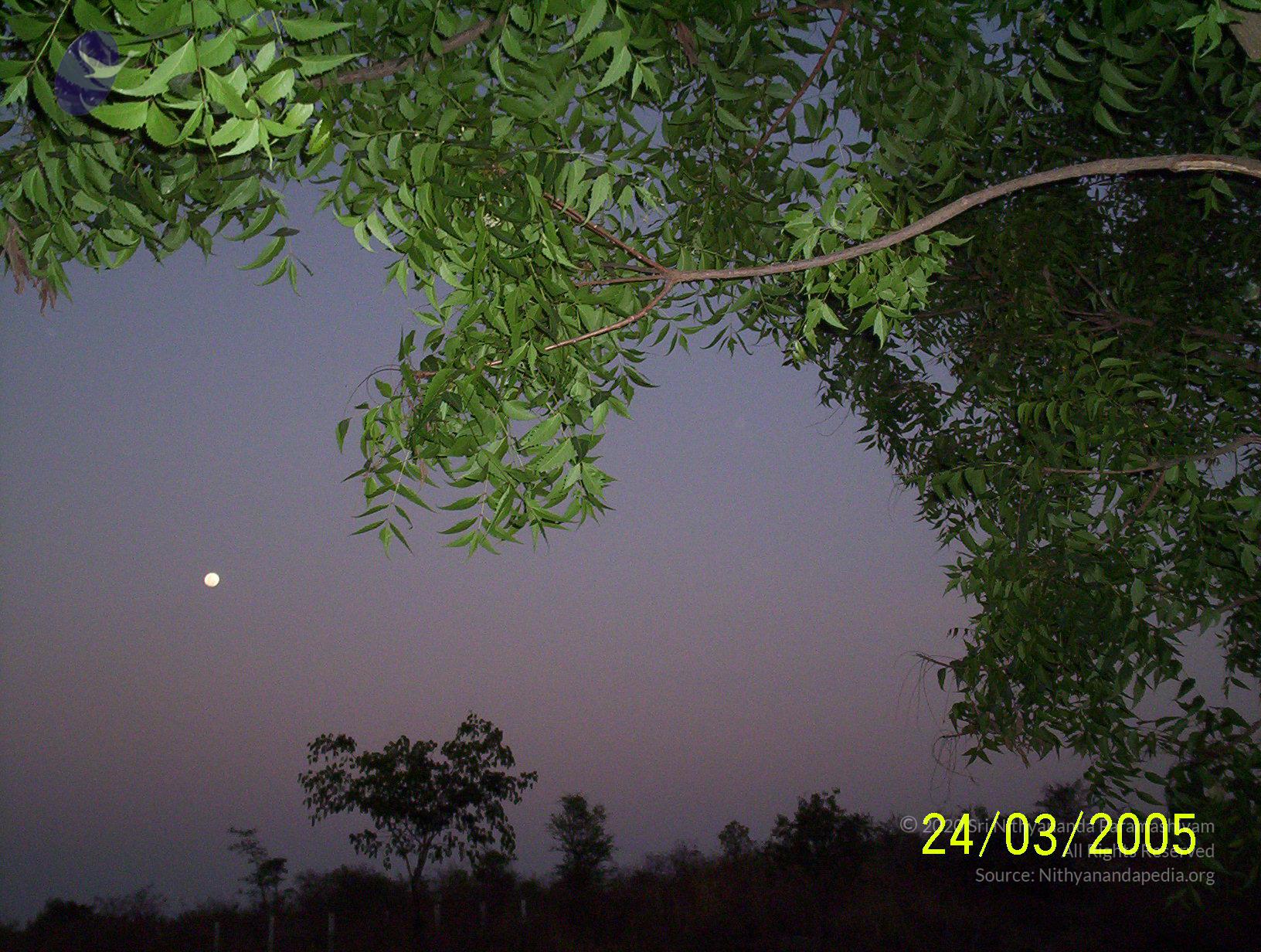 20050325_Photo_1009_100_1727_CMP_WM