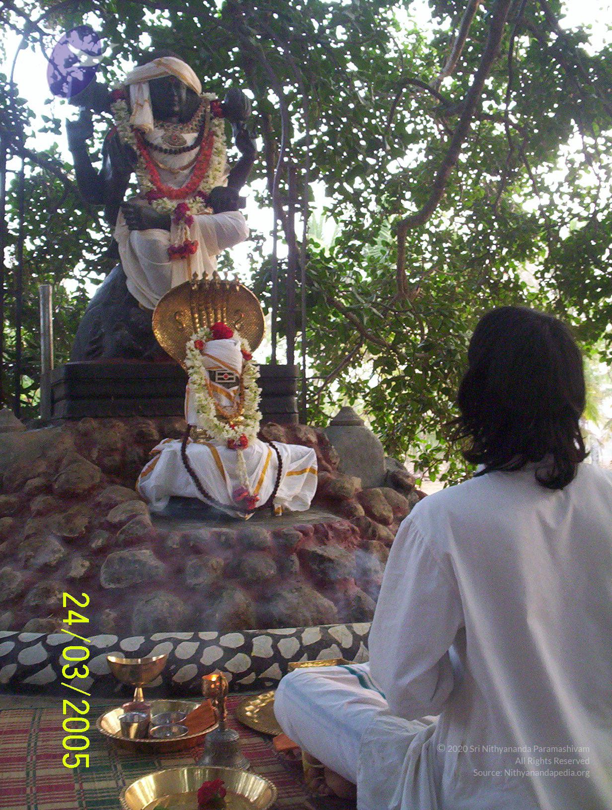 20050325_Photo_1013_100_1717_CMP_WM