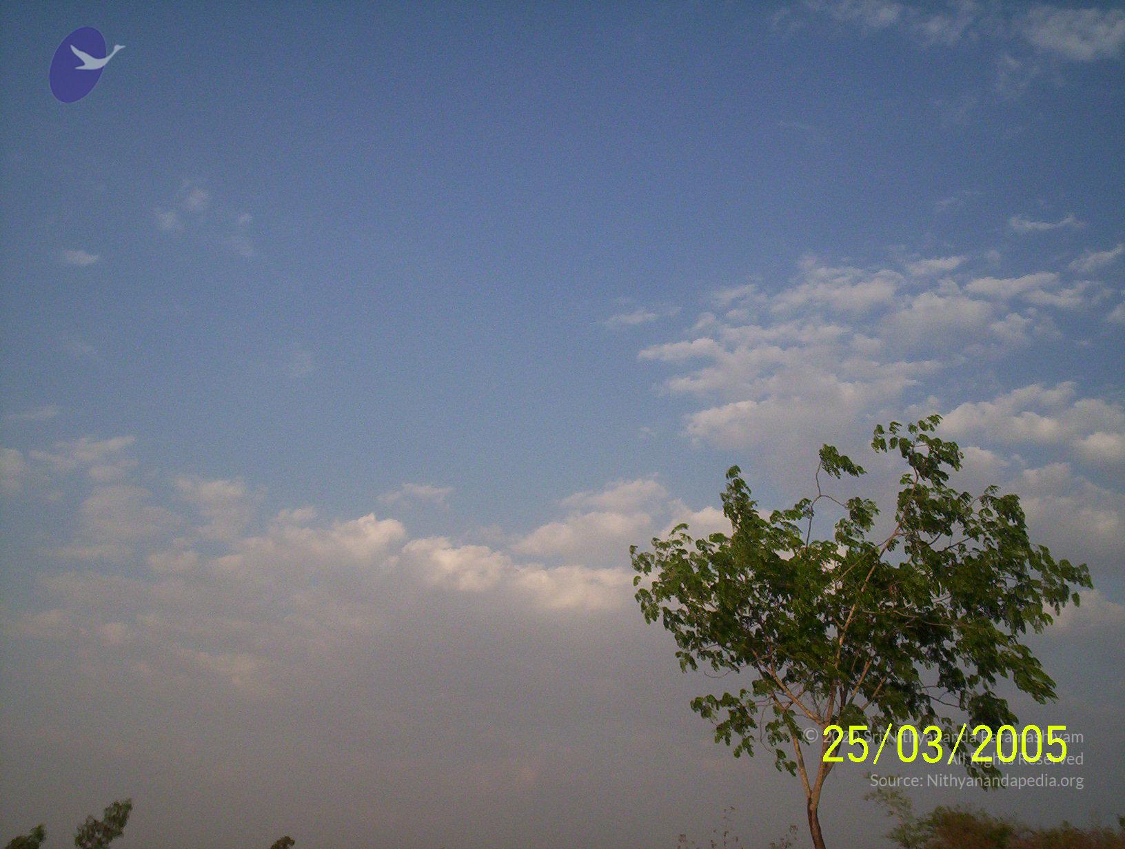 20050325_Photo_1019_100_1739_CMP_WM