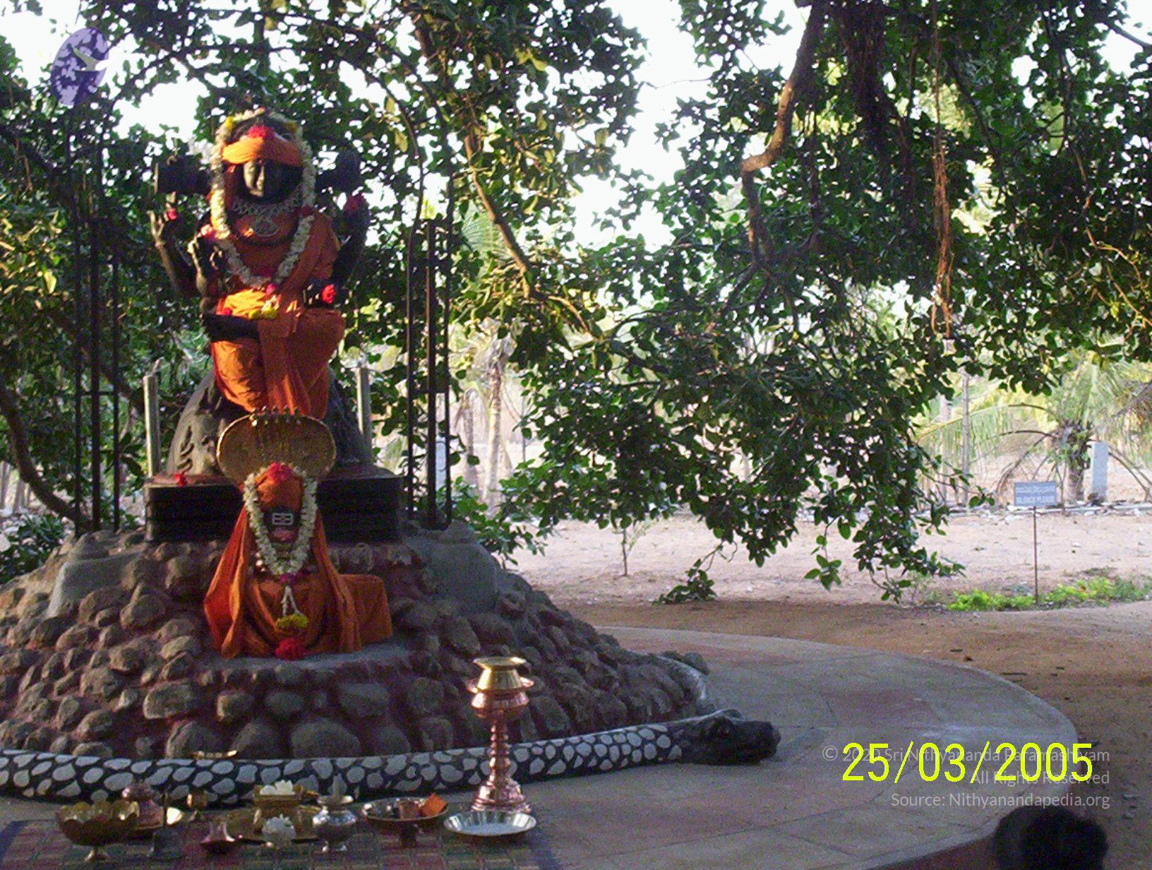 20050325_Photo_1020_100_1747_CMP_WM