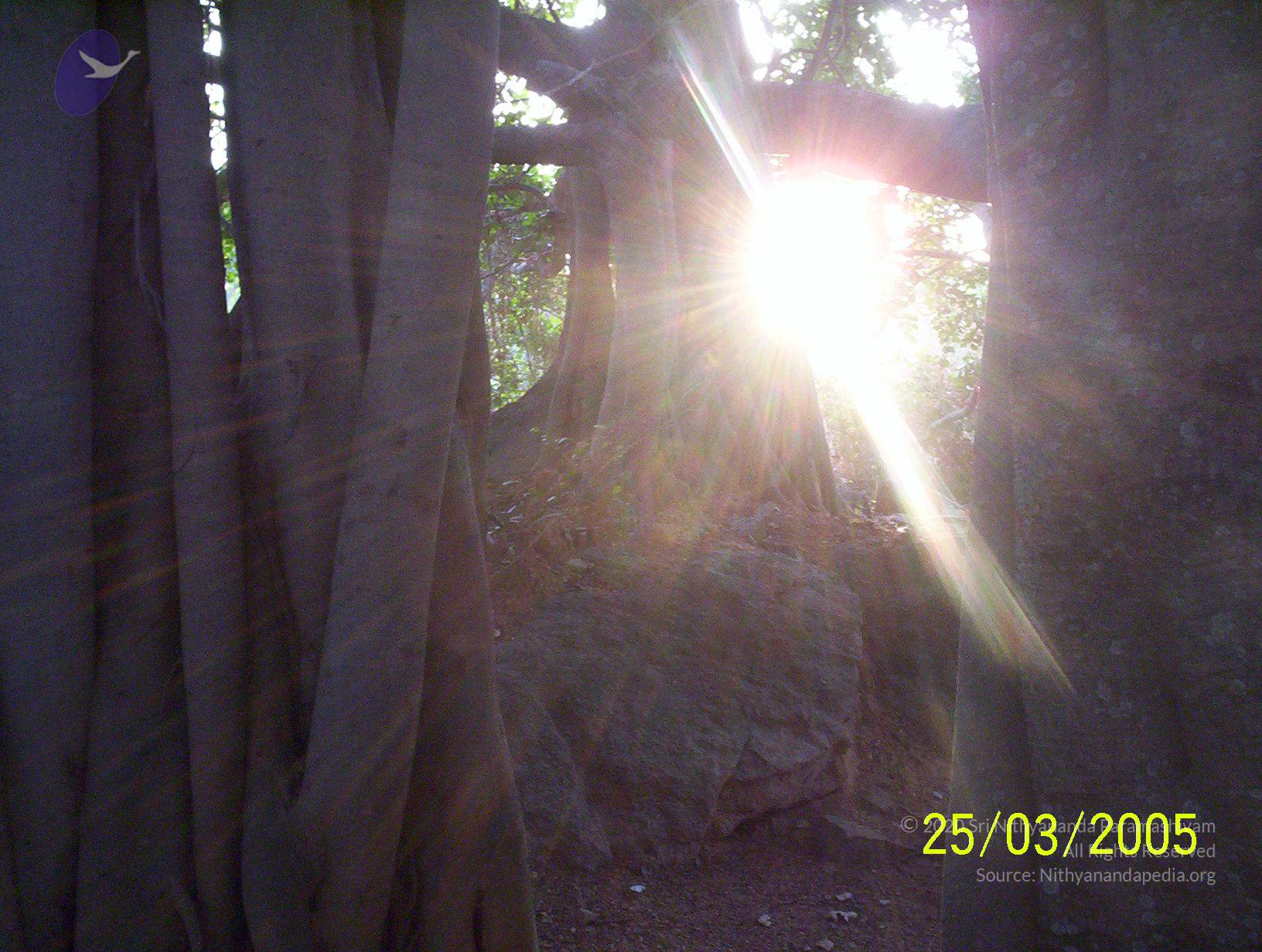 20050325_Photo_1022_100_1749_CMP_WM