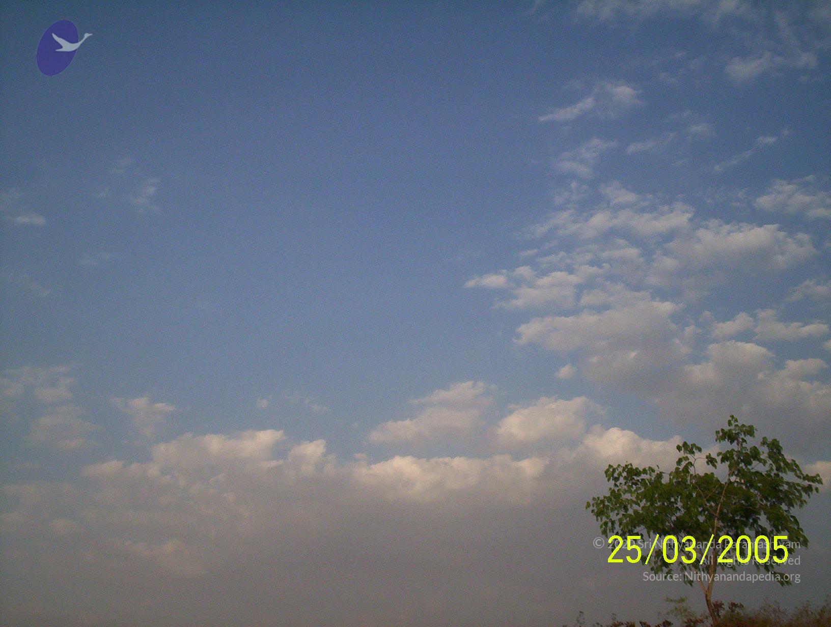 20050325_Photo_1025_100_1744_CMP_WM