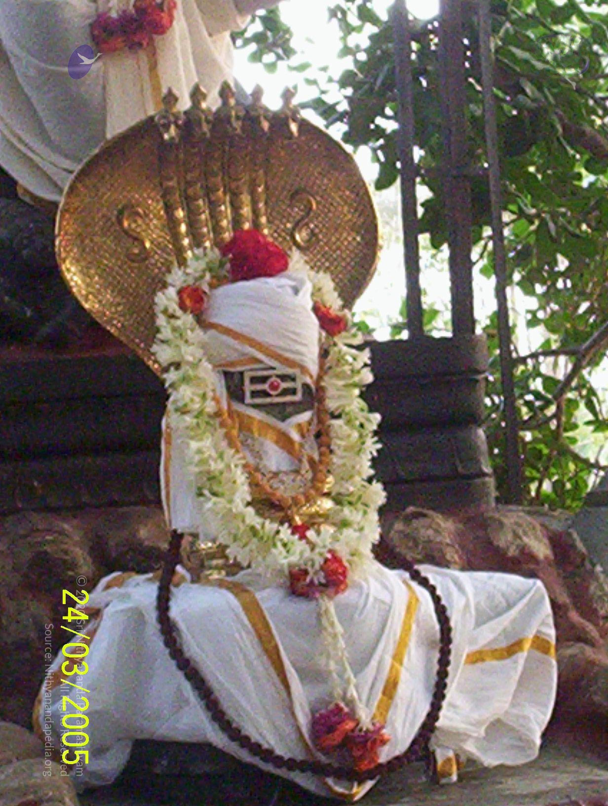 20050325_Photo_1029_100_1719_CMP_WM