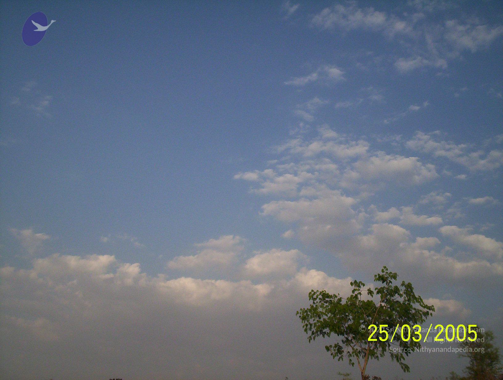 20050325_Photo_1041_100_1743_CMP_WM