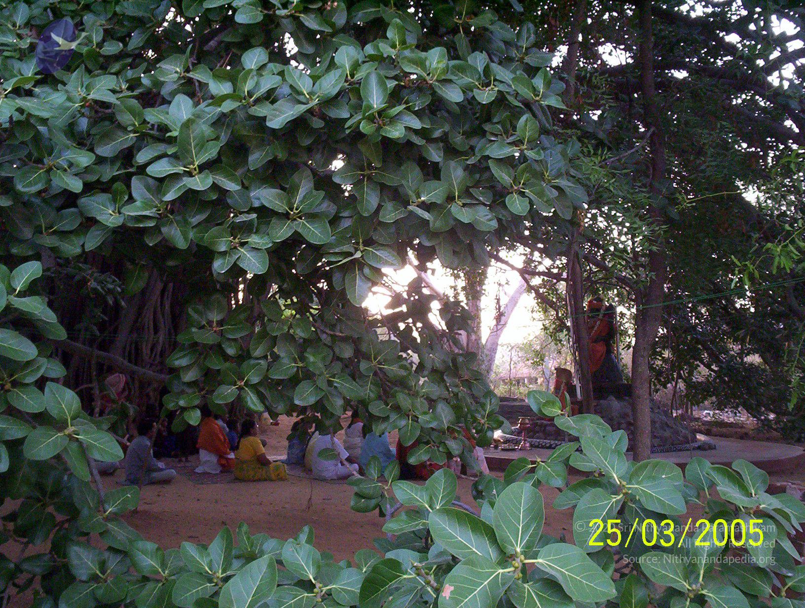 20050325_Photo_1042_100_1752_CMP_WM