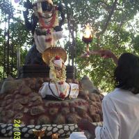 20050325_Photo_1000_100_1722_CMP_WM