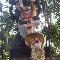 20050325_Photo_1002_100_1718_CMP_WM