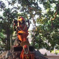 20050325_Photo_1005_100_1748_CMP_WM