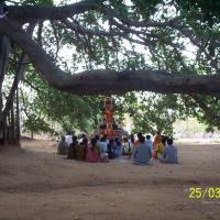 20050325_Photo_1006_100_1754_CMP_WM