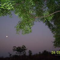 20050325_Photo_1009_100_1727_CMP_WM