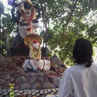 20050325_Photo_1013_100_1717_CMP_WM