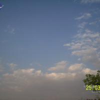 20050325_Photo_1025_100_1744_CMP_WM