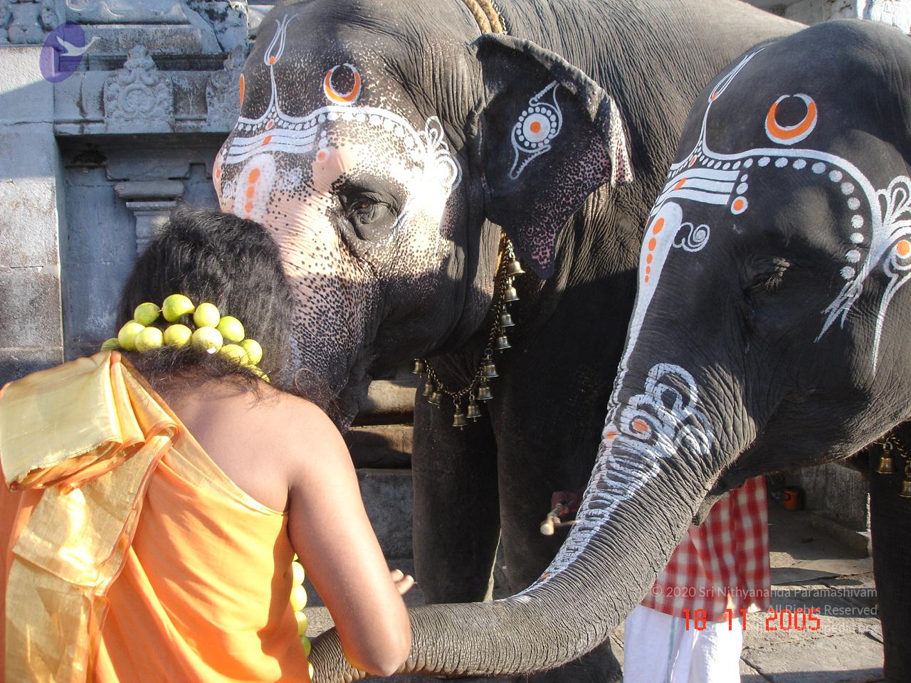 20051118_Photo_1006_Ananda Ula 2005 Kanchipuram 007_CMP_WM