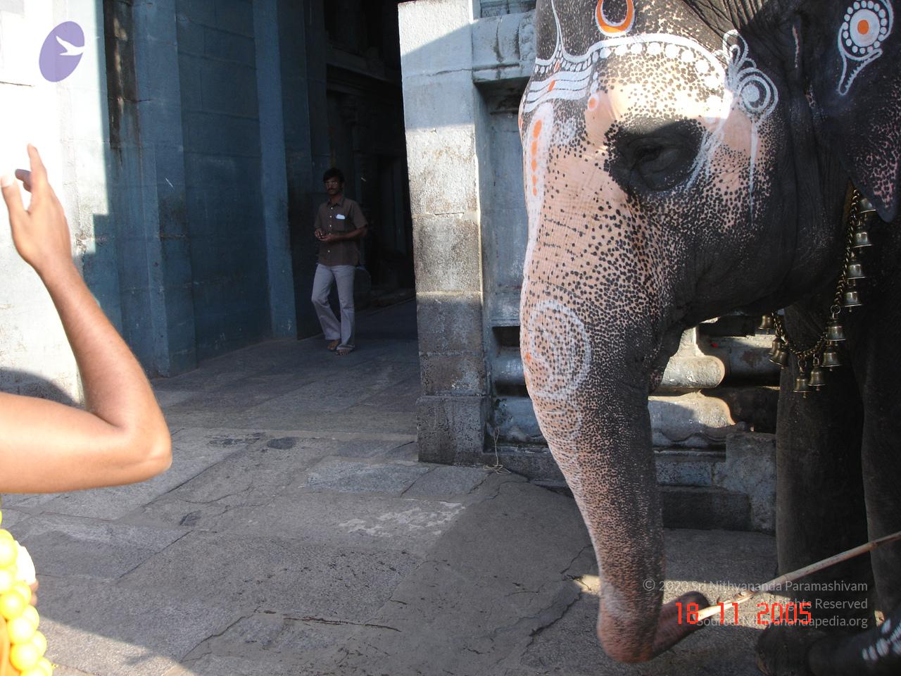 20051118_Photo_1025_Ananda Ula 2005 Kanchipuram 008_CMP_WM